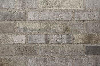 exklusiv1-2023 R1314