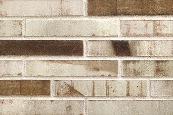 exklusiv1-2023 R1380