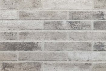 exklusiv6-2023 R1445-LDF